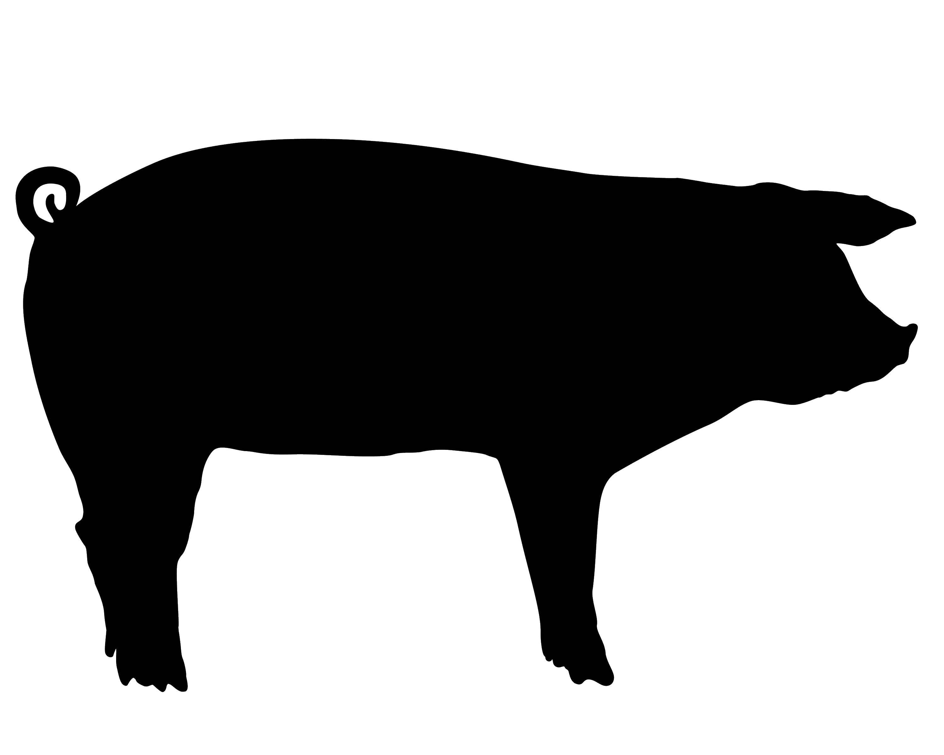 Coloring The outline of a pig to cut. Category The outline of a pig to cut. Tags:  Outline , pig, etc.