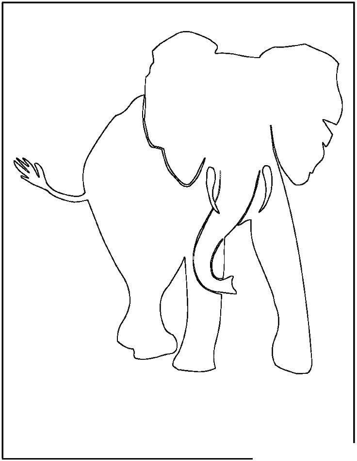 Название: Раскраска Контуры слона для вырезания. Категория: контуры слона для вырезания. Теги: контуры, слон, вырезания.