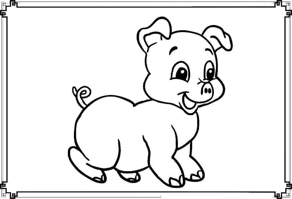 Название: Раскраска Милая свинюшка. Категория: Контур свиньи для вырезания. Теги: Животные, свинка.