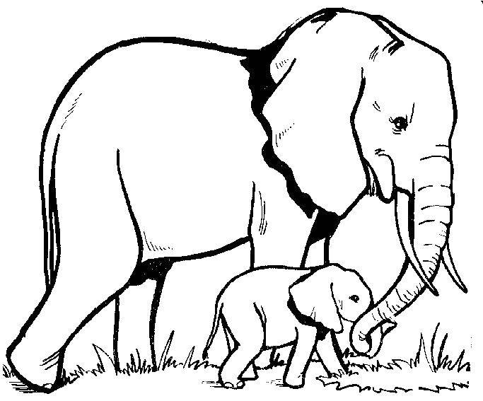 Название: Раскраска Слониха и слоник. Категория: контуры слона для вырезания. Теги: слоны.