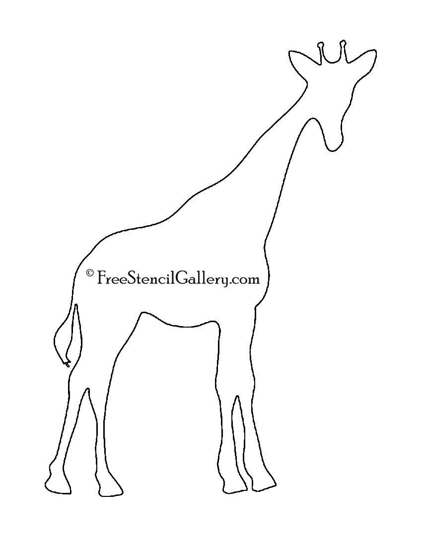 Coloring Giraffe outline. Category The outline of a giraffe for cutting. Tags:  outline , giraffe.