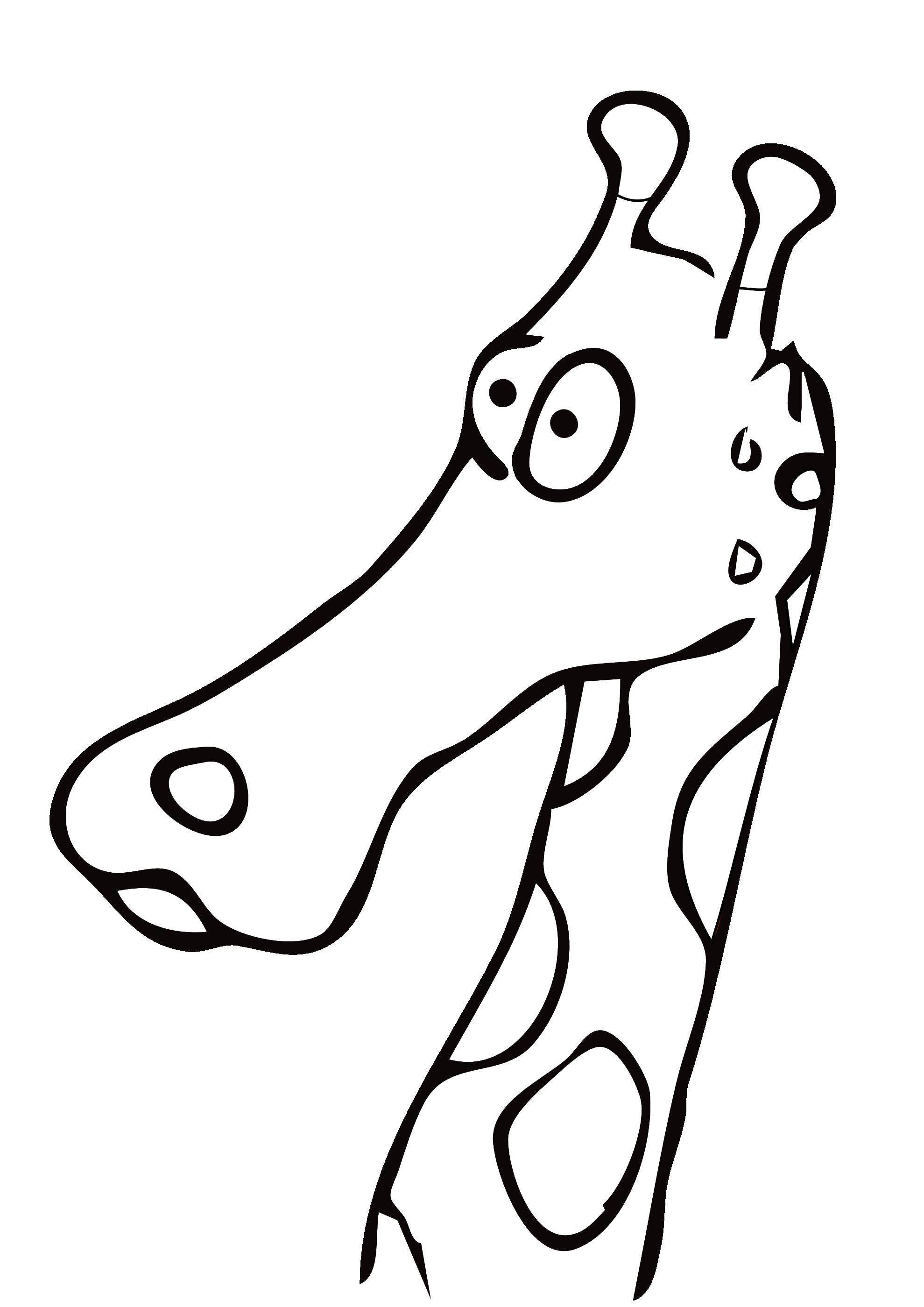 Название: Раскраска Голова жирафа. Категория: Контур жирафа для вырезания. Теги: контур, жираф.