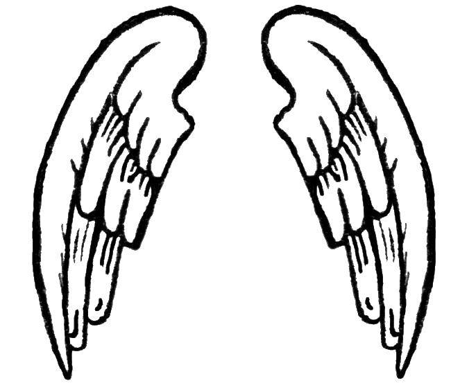 Название: Раскраска Контур крыльев. Категория: Контуры ангела для вырезания. Теги: крылья, ангел, контур.