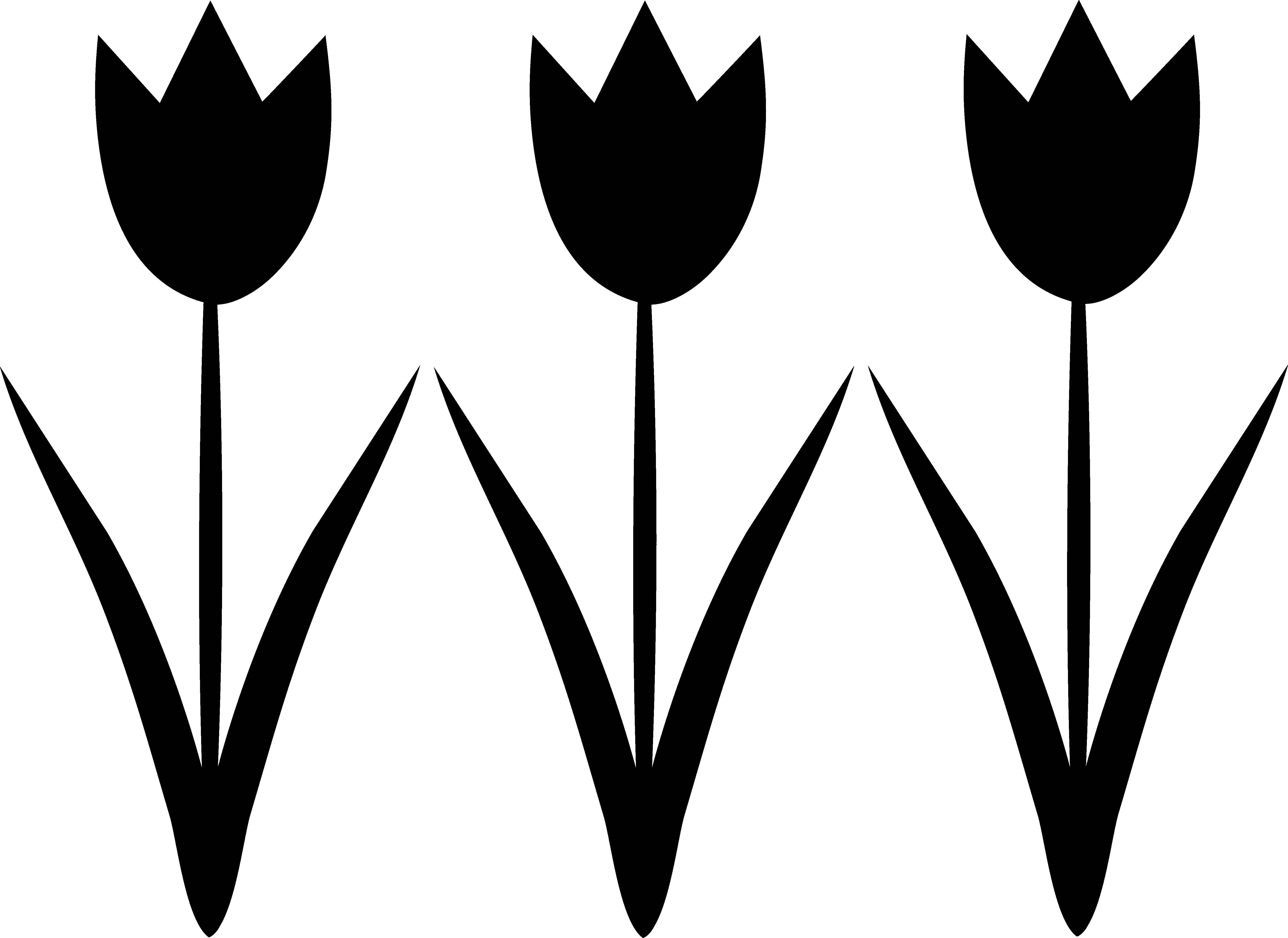 Название: Раскраска Три тюльпана. Категория: Контуры цветка для вырезания. Теги: контур, цветы, лепестки.