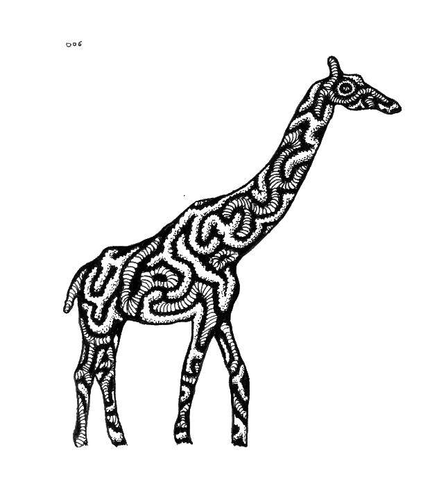 Coloring Giraffe lines. Category The outline of a giraffe for cutting. Tags:  giraffe, animals.