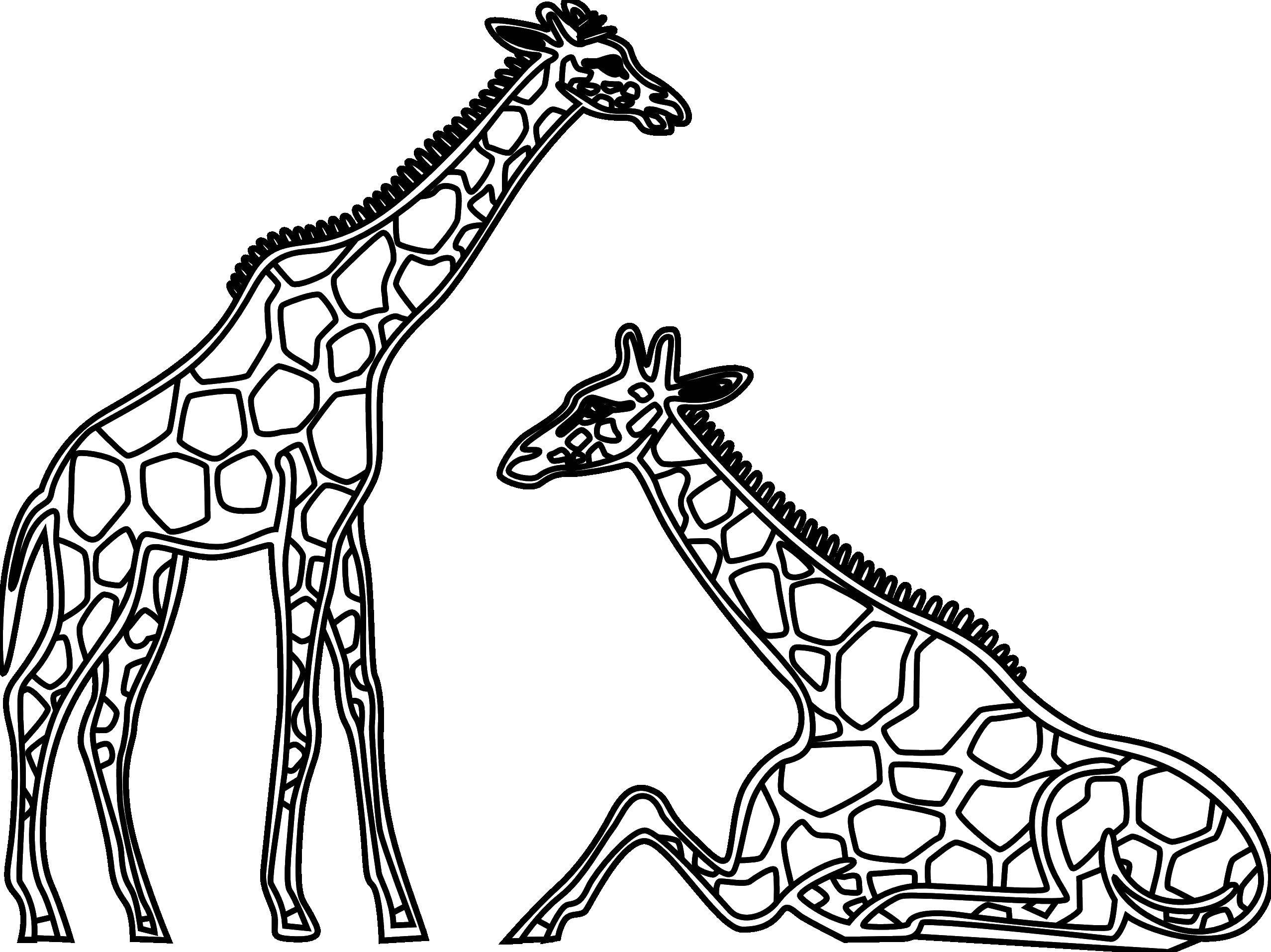 Название: Раскраска Жирафы сидят. Категория: Контур жирафа для вырезания. Теги: жирафы.