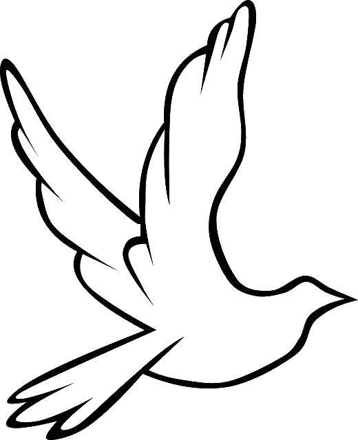 Coloring Dove white. Category The contours of the angel to clip. Tags:  pigeon.