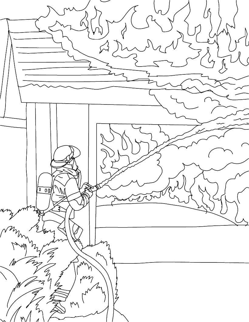 Coloring Fireman puts out the fire hose. Category Fire. Tags:  fire, police, ambulance.