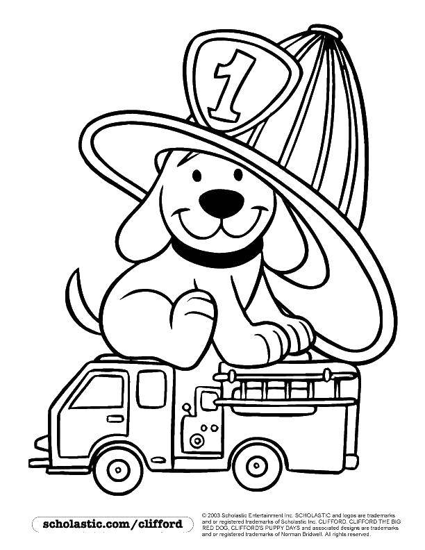 Название: Раскраска Собачка пожарный. Категория: пожар. Теги: пожар, пожарный, пожарная машина, собачка.