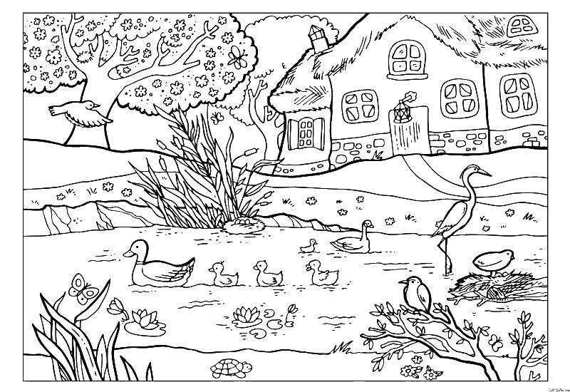 Coloring A house in the village. Category the village. Tags:  village, nature, birds.