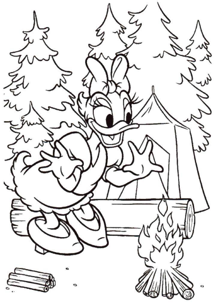 Coloring Webbigail in the campaign. Category Camping. Tags:  Disney, Ducktales, Donald Duck, .