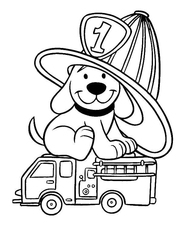 Название: Раскраска Щенок на игрушечной пожарной машине. Категория: раскраска пожарный. Теги: пожарная машина, щенок.
