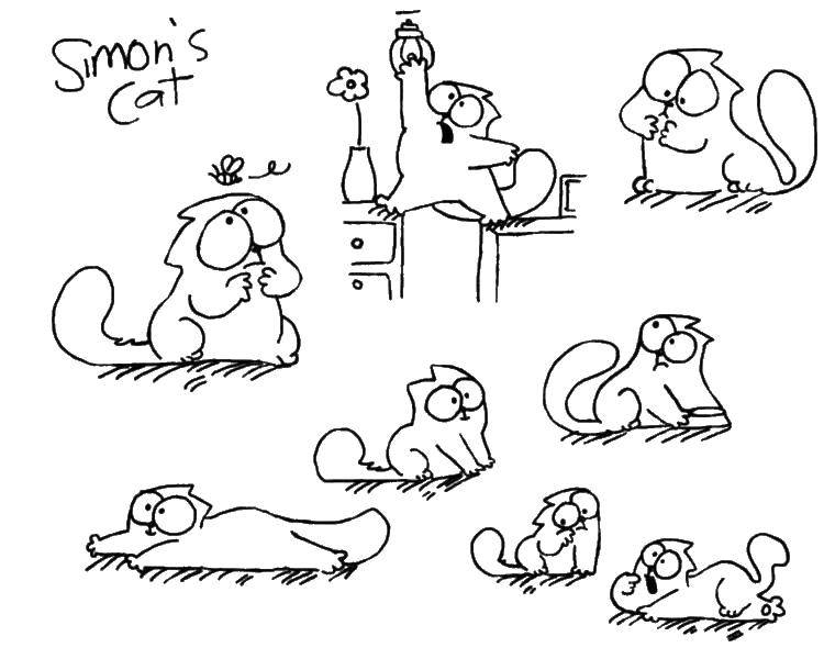 Кот Саймон рисунки для срисовки