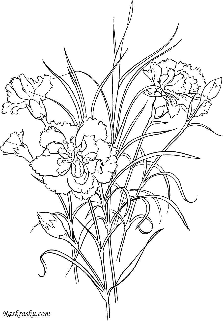 Coloring Lily of the valley bouquet. Category Lily of the valley. Tags:  lilies, leaves.