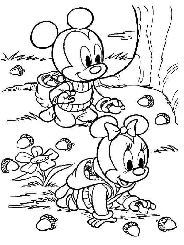 Coloring Mouse mouse collecting acorns. Category Mickey mouse. Tags:  Mickey mouse, Missy mouse, autumn, acorns.