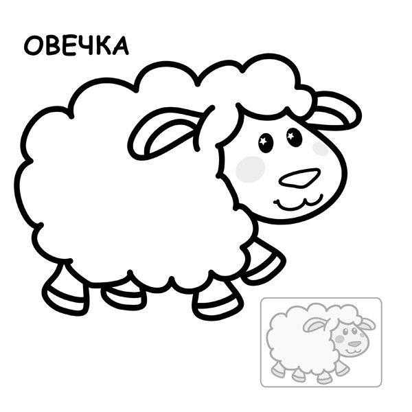 Название: Раскраска Рисунок овечка. Категория: домашние животные. Теги: овечка.