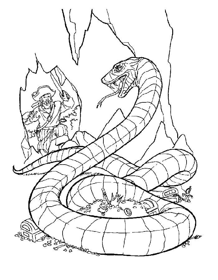 Опис: розмальовки  Чоловік знайшов печеру зі скарбом. Категорія: змія. Теги:  змія, пищера.