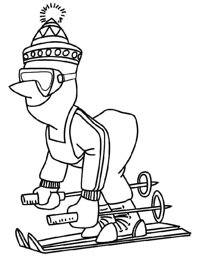 Название: Раскраска Человек на лыжах. Категория: лыжи. Теги: человек, лыжи, шапка, очки.
