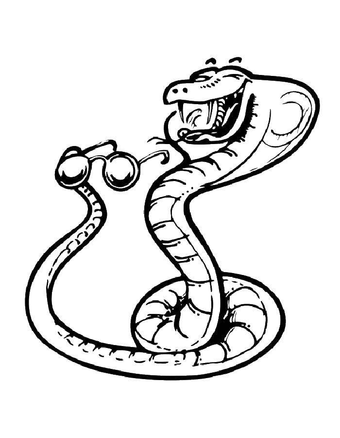 Название: Раскраска Кобра в очках. Категория: змея. Теги: кобра, змея.