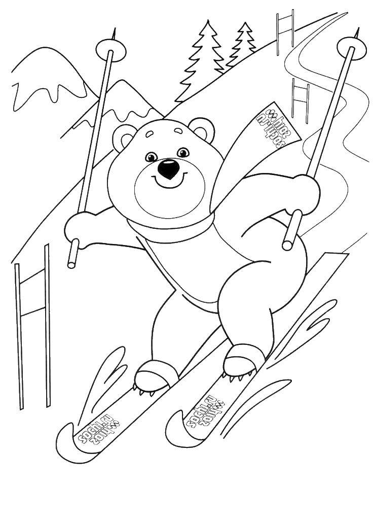 Название: Раскраска Олимпийский мишка катается на лыжах. Категория: олимпийские игры. Теги: мишка, лыжи, снег.