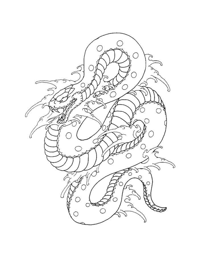 Coloring Water snake. Category the snake. Tags:  the snake.