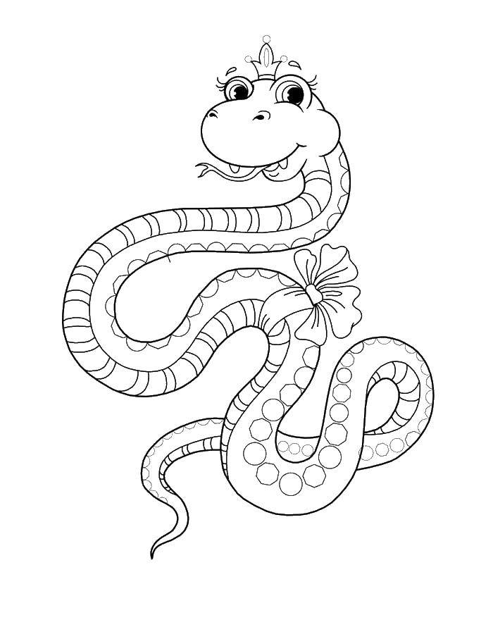 Coloring Snake Princess in bow. Category the snake. Tags:  the snake.