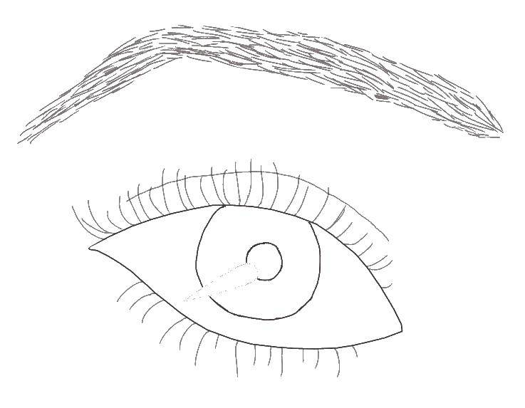 Название: Раскраска Глаз и бровь. Категория: контур глаза. Теги: контур, глаз, бровь.