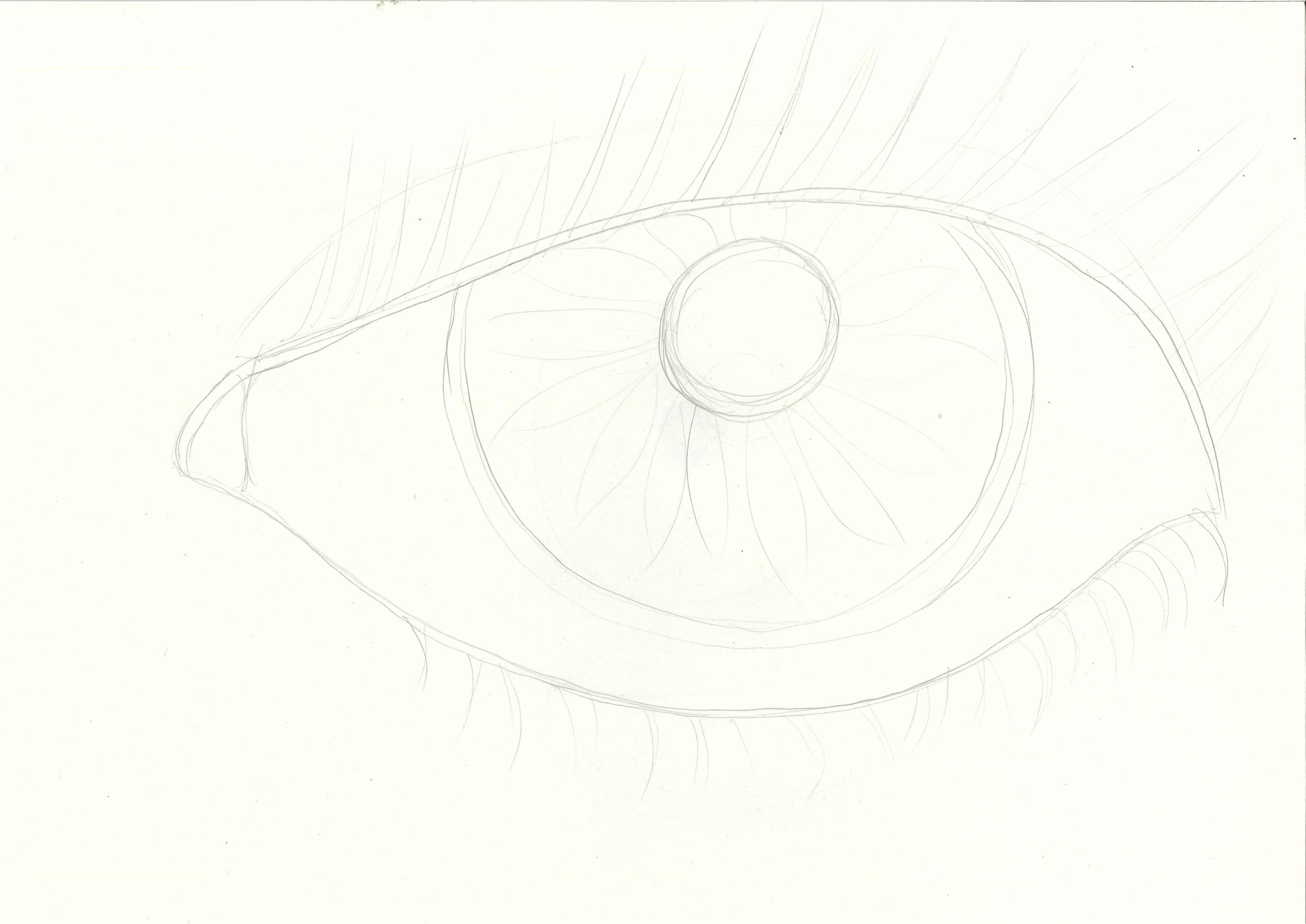 Название: Раскраска Глаз с ресничками. Категория: контур глаза. Теги: глаз, ресницы, зрачок.