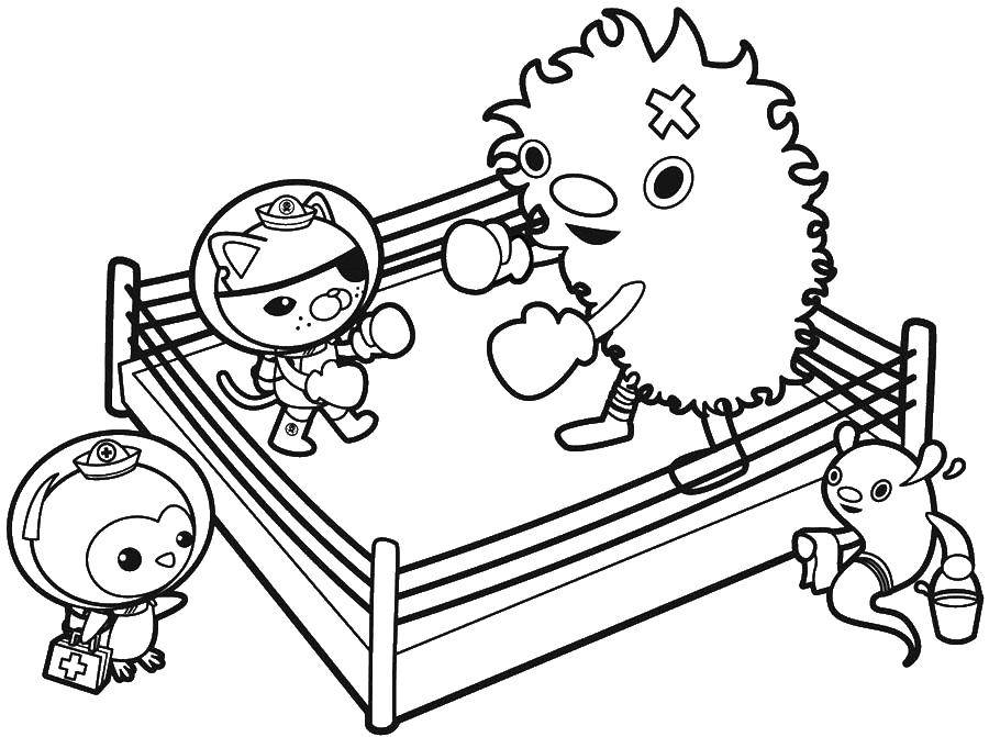 Coloring Animals box. Category Boxing. Tags:  Boxing, animals.