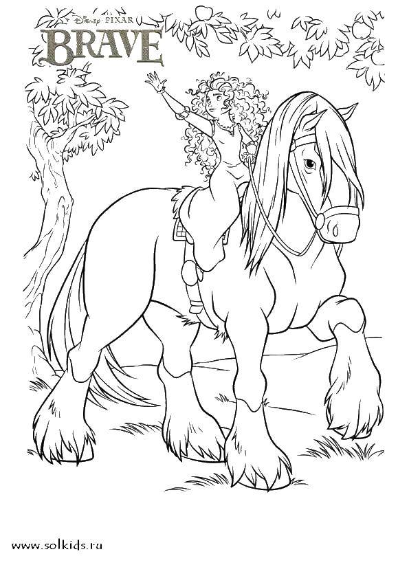 Название: Раскраска Храбрая сердцем на лошади. Категория: храбрая сердцем. Теги: Храбрая сердцем, мультфильмы, принцесса, лошадь.
