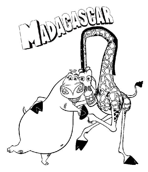 Coloring Melman and Gloria. Category Madagascar. Tags:  giraffe, hippopotamus, Melman, Gloria.