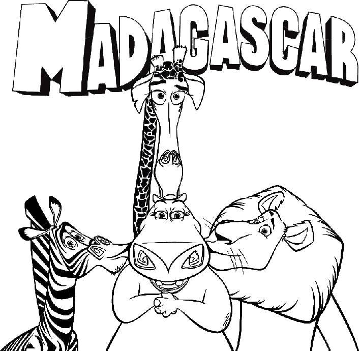 Название: Раскраска Мультик мадагаскар. Категория: мадагаскар. Теги: зебра, жираф, лев, бегемот.