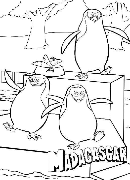 Coloring The penguins of Madagascar. Category Madagascar. Tags:  the penguins , skipper, private, Kowalski.