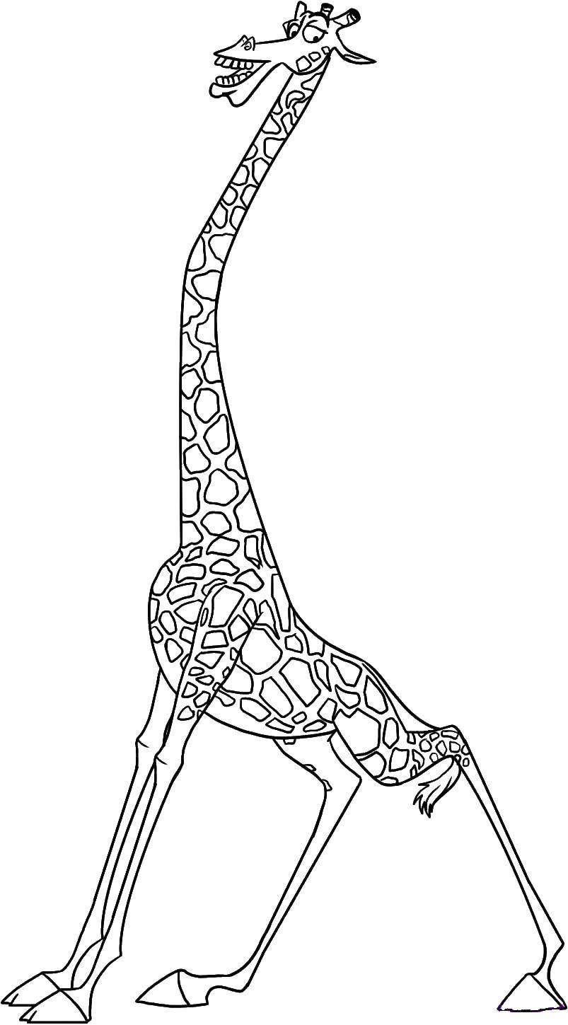 Название: Раскраска Жираф из мадагаскара. Категория: мадагаскар. Теги: мадакаскар, Жирафы.