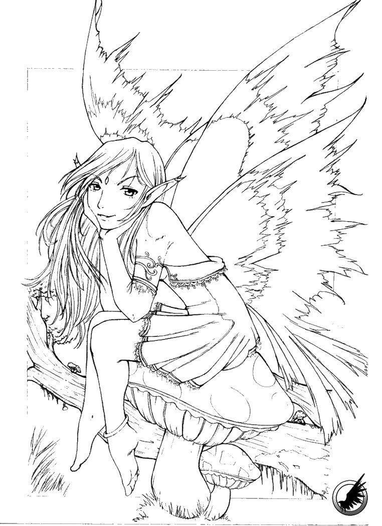 Название: Раскраска Девушка с крыльями на грибе. Категория: Фэнтези. Теги: фея, крылья, гриб.