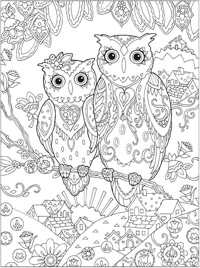 Coloring Two owls in the patterns. Category patterns. Tags:  patterns, owls, uzorchiki.