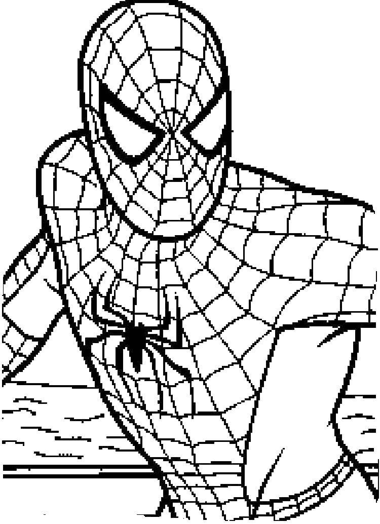 Coloring Spiderman. Category superheroes. Tags:  superheroes, spiders, Superman.