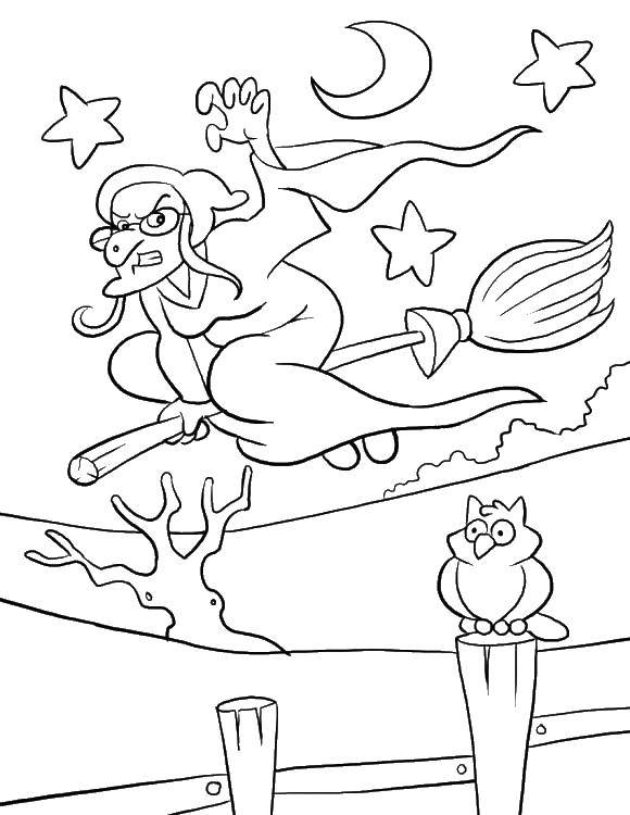 Coloring Witch flying on a broom. Category witch. Tags:  broom , witch, witches.