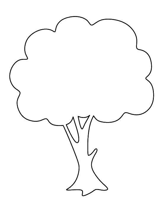 Coloring Контур пышного дерево. Category Семейное дерево. Tags:  дерево.