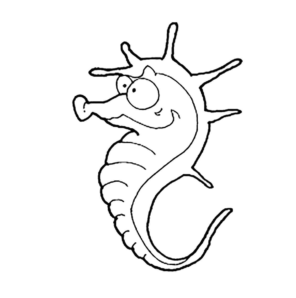 Coloring Seahorse. Category fish. Tags:  seahorse.