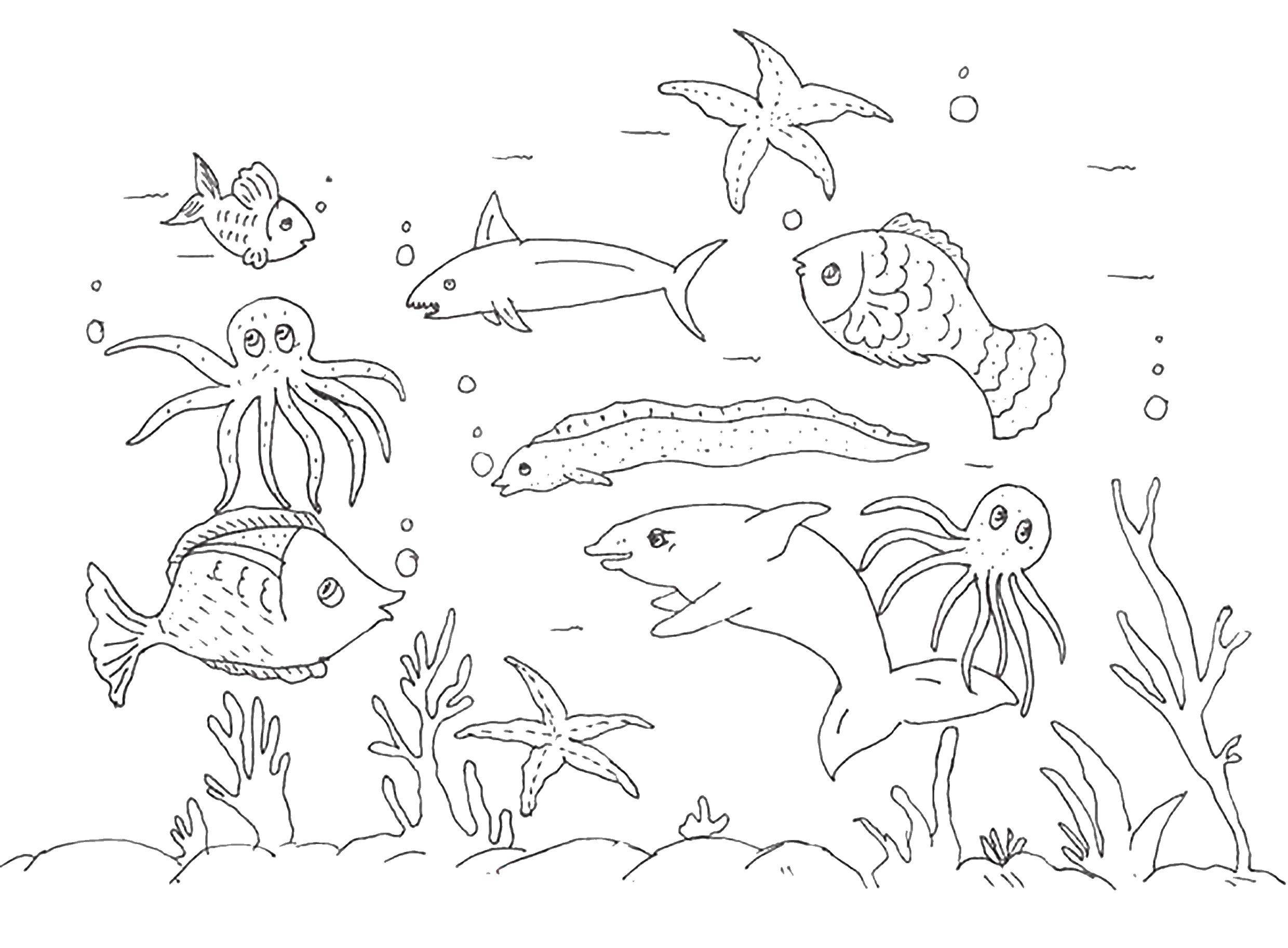 Coloring The ocean with the fishes. Category fish. Tags:  fish.