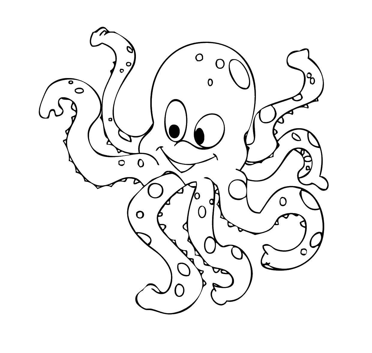 Coloring Octopus. Category fish. Tags:  Octopus.