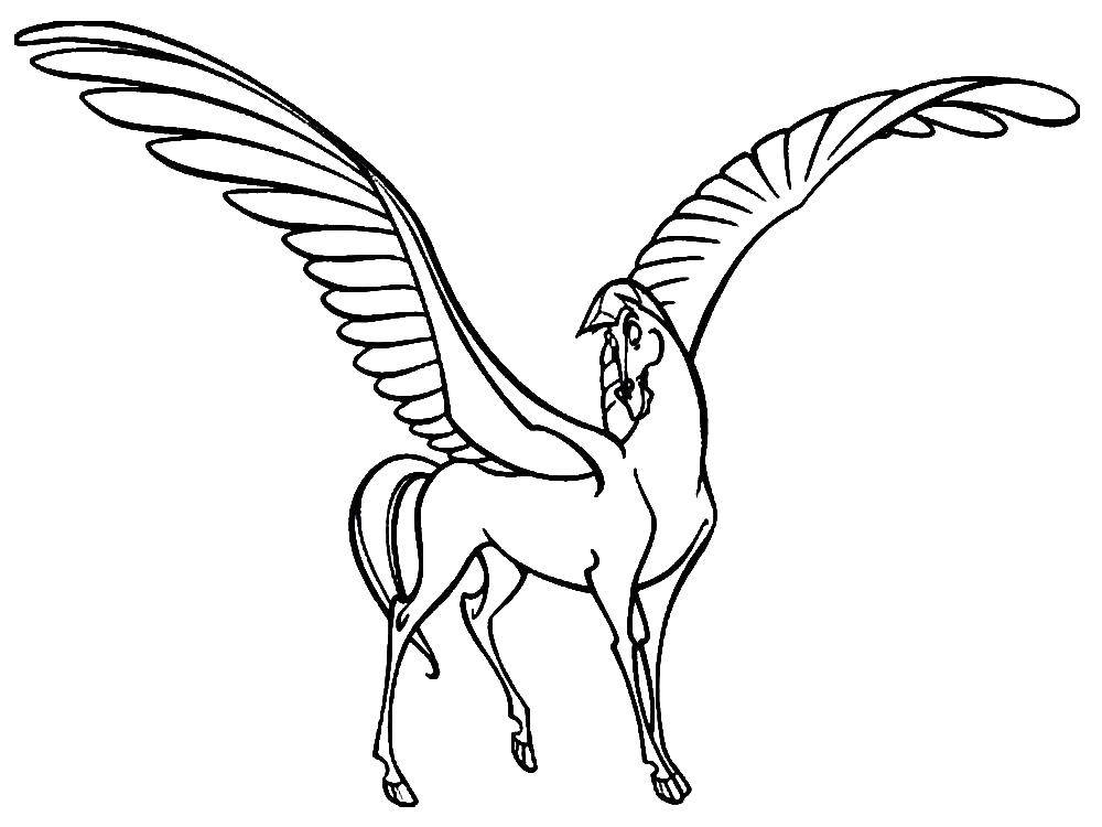 Coloring Pegasus of Hercules. Category Hercules. Tags:  Animals, Pegasus.
