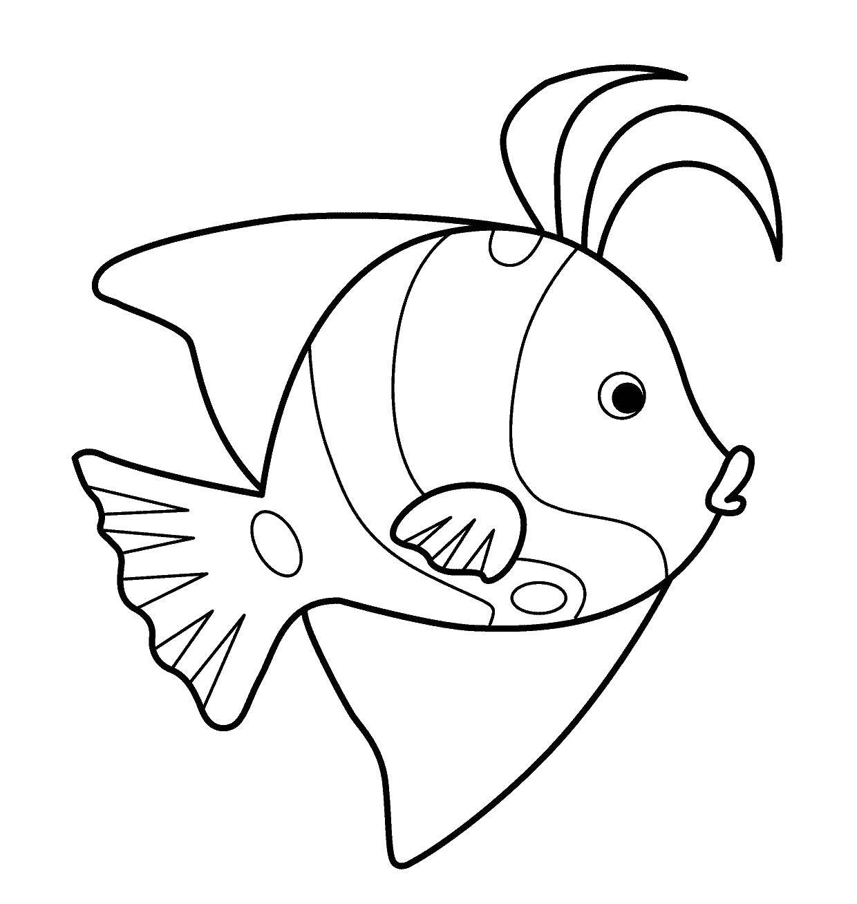 Название: Раскраска Рыба. Категория: рыбы. Теги: рыбы.