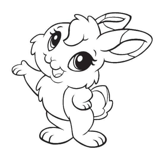 Название: Раскраска Красивая крольчиха. Категория: кролик. Теги: кролик, заяц.