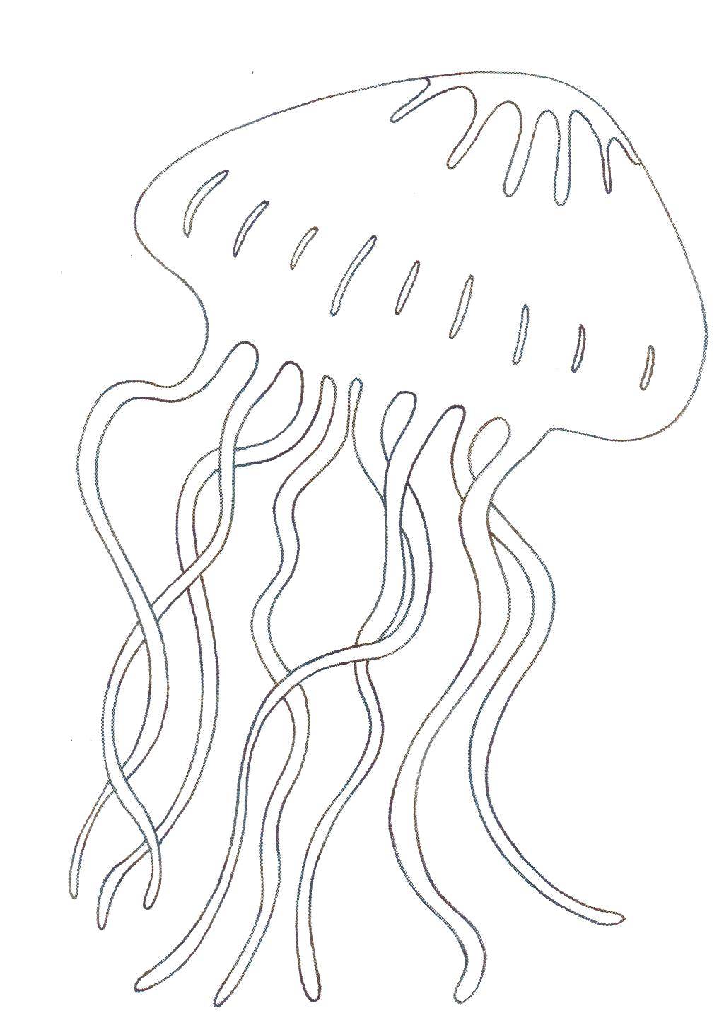 Coloring Jellyfish in the ocean. Category marine. Tags:  The ocean, jellyfish.