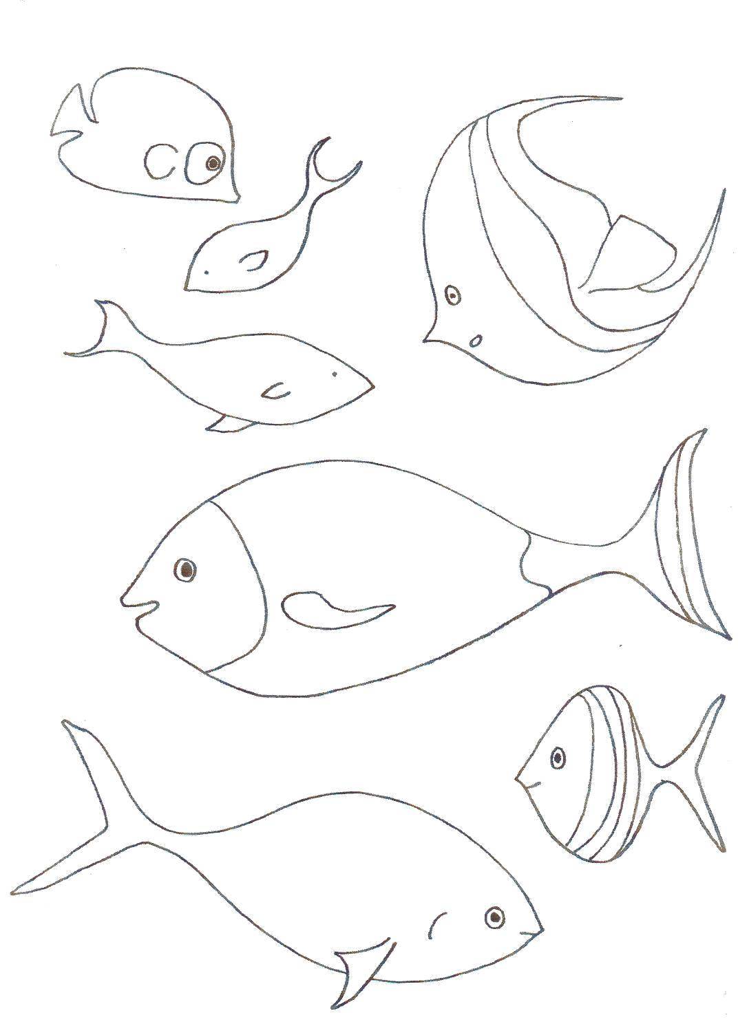Название: Раскраска Разные виды рыб. Категория: рыбы. Теги: Рыбы, вода, подводный мир.