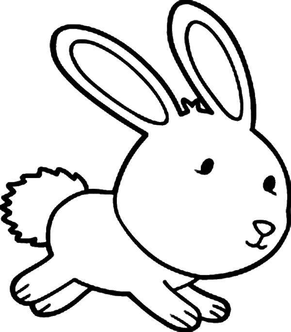 Coloring Bunny with fluffy tail. Category the rabbit. Tags:  rabbit, Bunny, fluffy tail.