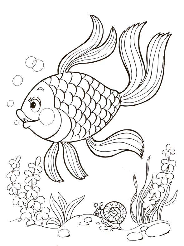 Coloring Goldfish under water. Category fish. Tags:  Underwater world, Golden fish.