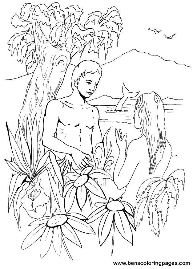 Coloring Adam and eve. Category the Bible. Tags:  The Bible.